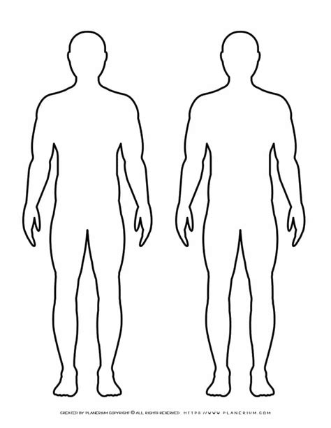 male body outline